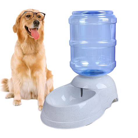 犬 水飲み器 おすすめ：ペットの健康を考える最新トレンド